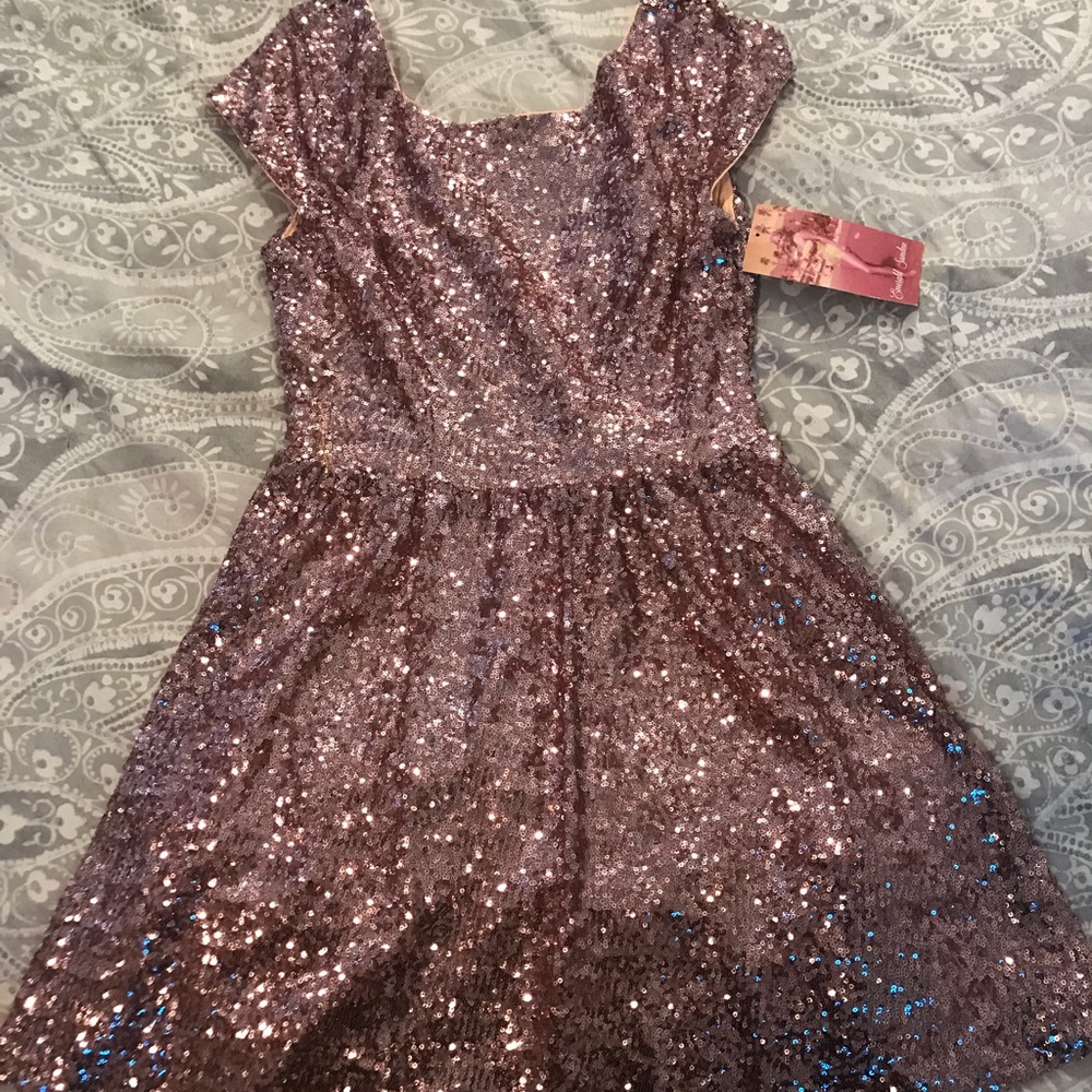 Rose Gold Sequin Dress NWT